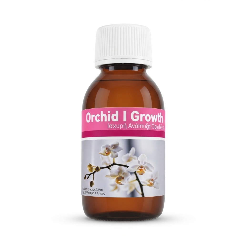 geo orchiid rose