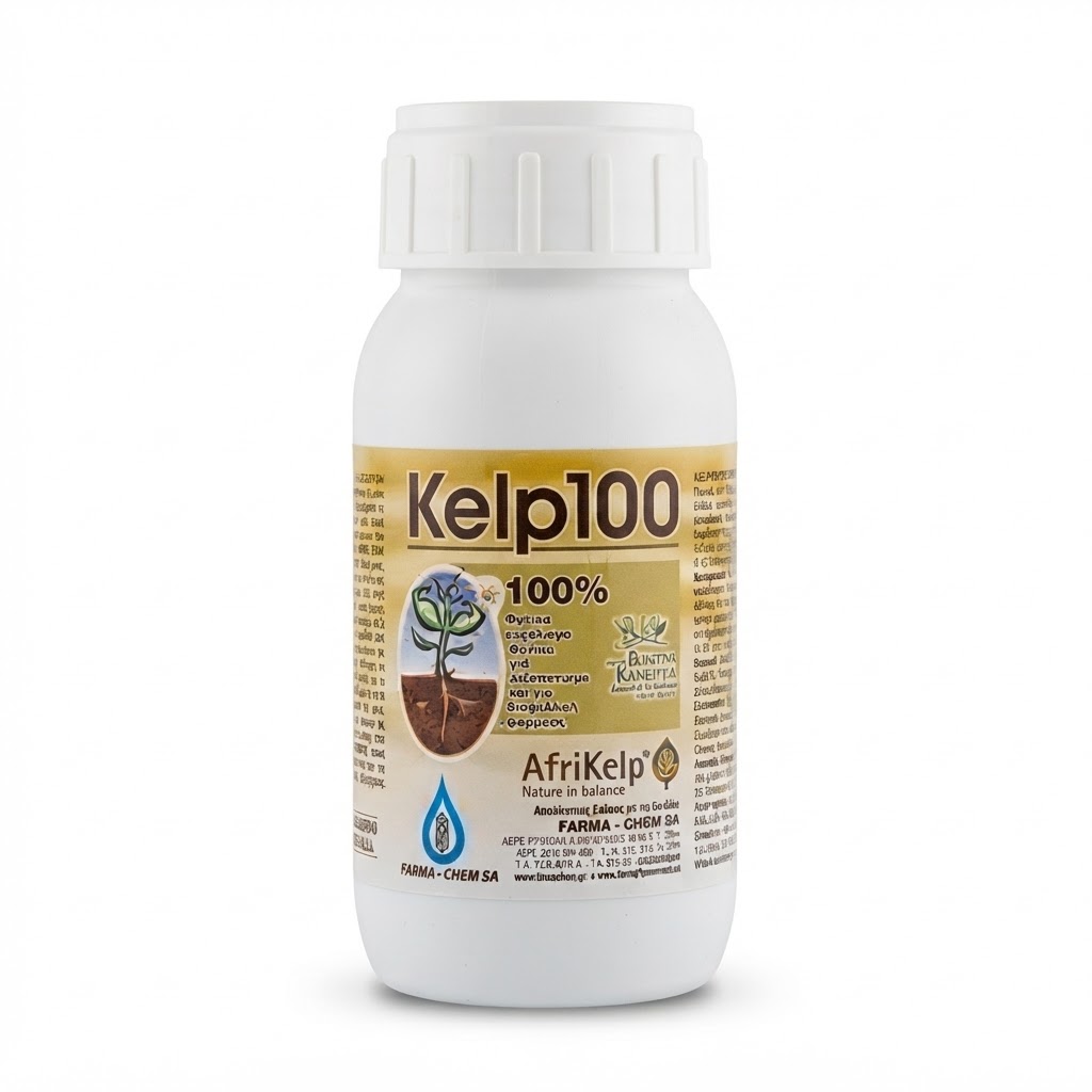 kelp100